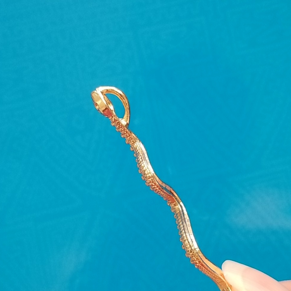 FREE Snake Charm - Picture 3 of 5